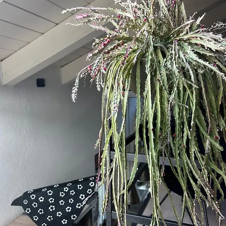 Apartment Giannetti Loft Centro Storico *